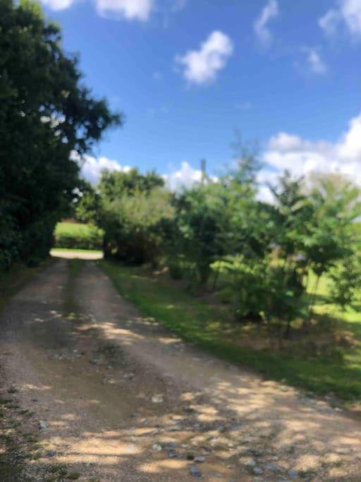 Terrasse, Campagne Et Mer Apartman Troguery Kültér fotó